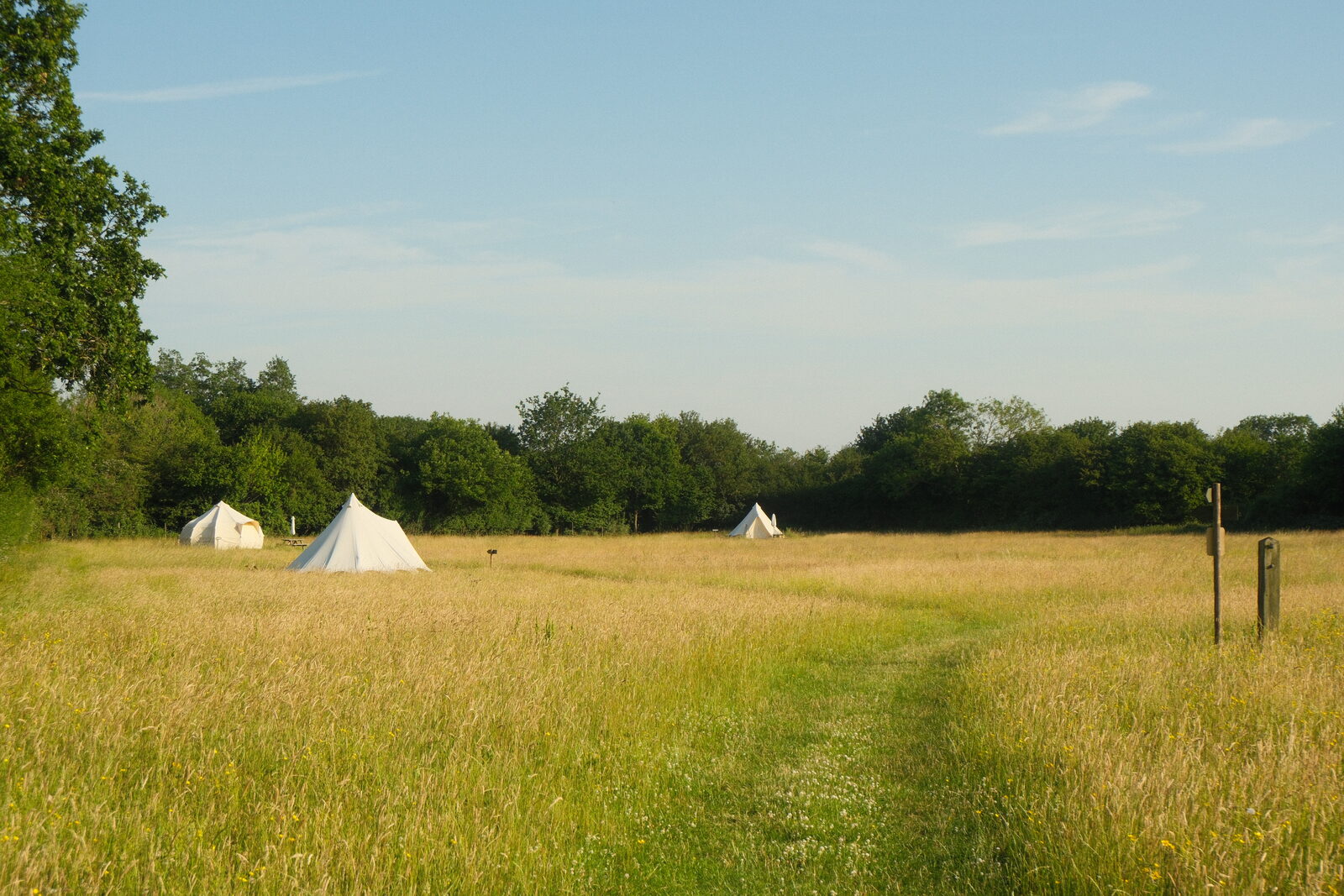 Bell tents in the wildflower meadow